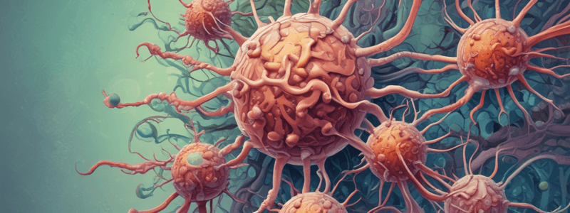 Rhabdovirus Characteristics