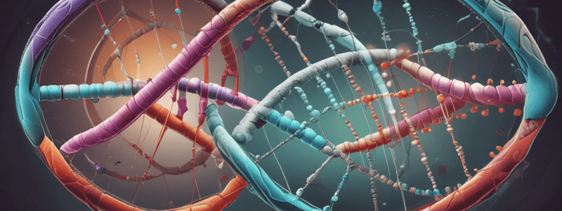 Molecular Biology: DNA Structure and Functions