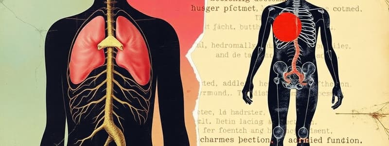 Endocrine System and Adrenocortical Testing