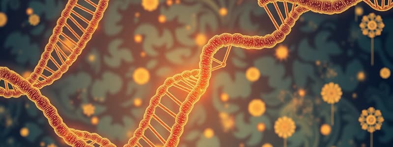 Genomes and Replication: E. coli vs Human