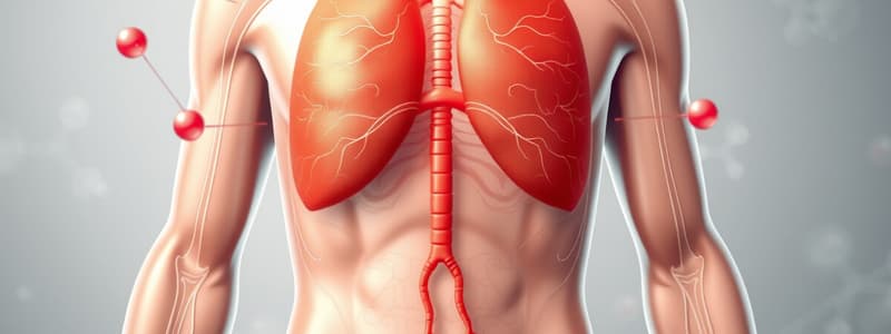 Fisiologia Humana: Sistema Endócrino