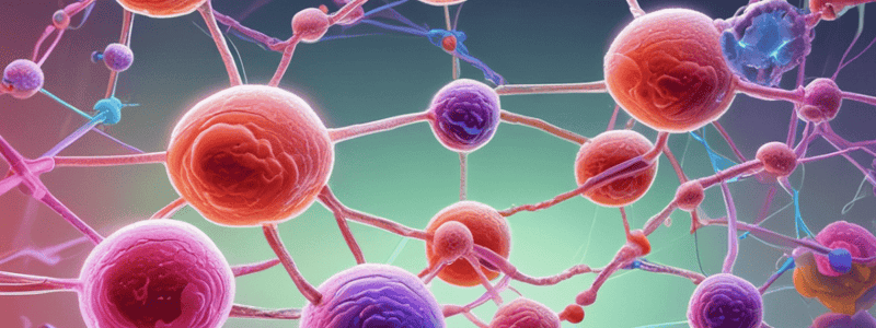 Cell Cycle Chemotherapy Quiz