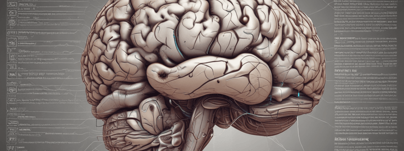 Brain Anatomy: Mid-Sagittal and Coronal Views