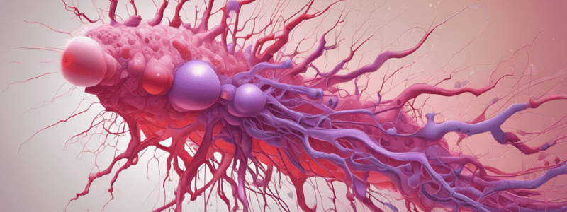 Bestanddelen van het plasma + autologtransfusie