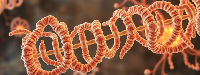 Ribosome Structure Quiz