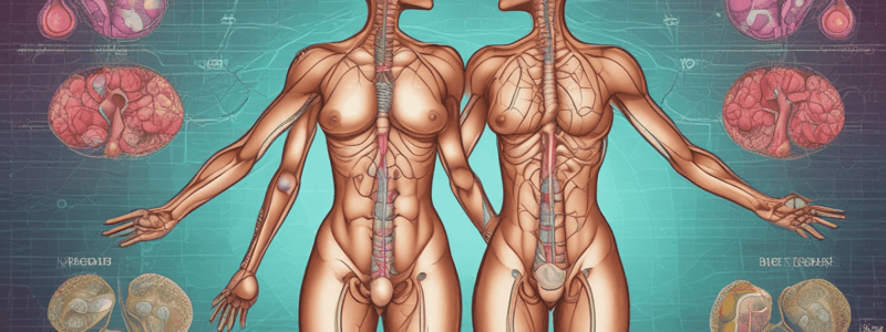 Endocrine System Lecture 3