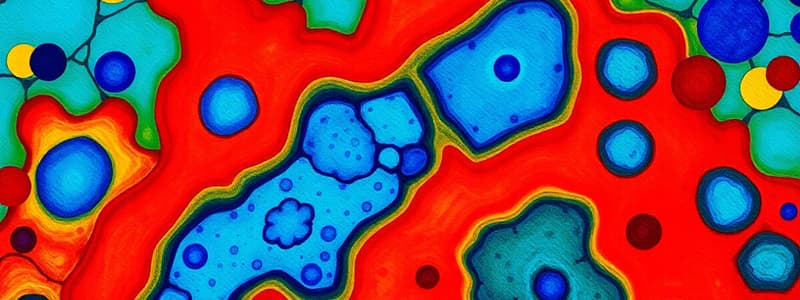 Epithelial Tissue Overview