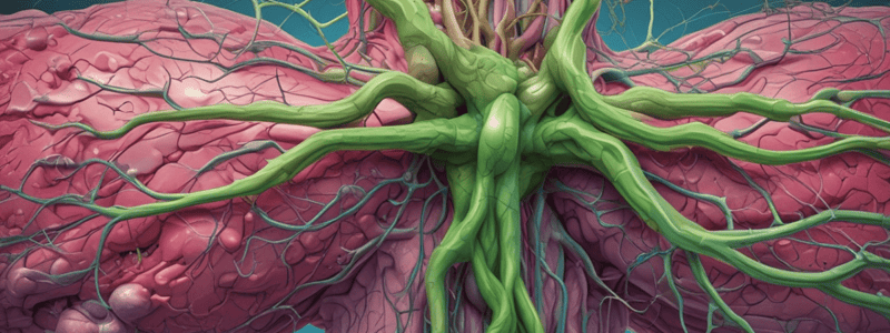 Anatomy of the Lymphatic and Immune Systems