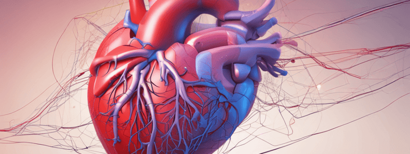 Cardiovascular Physiology: Afterload and Cardiac Output