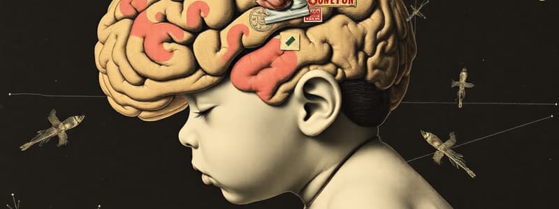 Infant and Brain Development