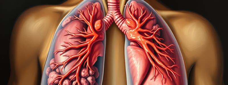 Lung Volumes, Capacity, Gas Transport