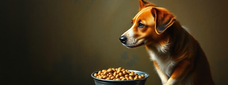 Nutrición Canina y Felina en Recetas Especializadas