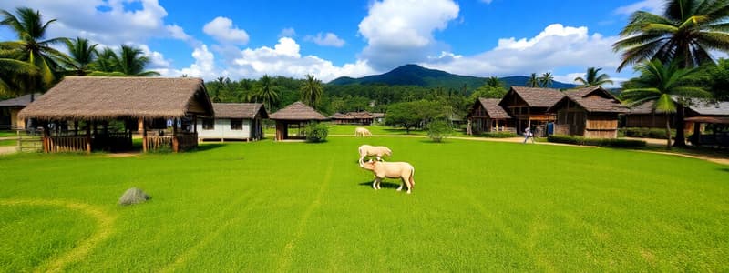 Asal Usul Nenek Moyang Bangsa Indonesia