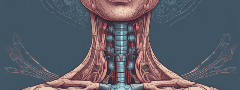 Anatomy of the Thyroid Gland