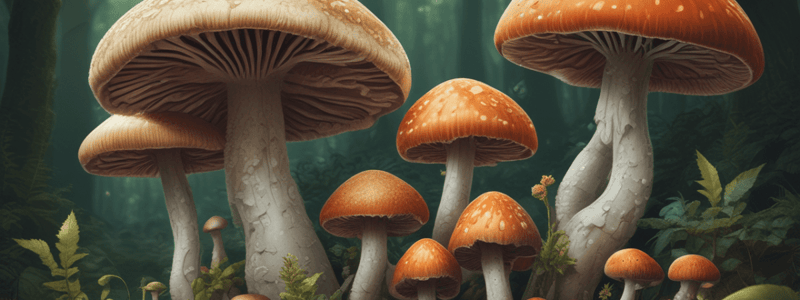 Mycology Lecture 1: Fungi Classification & Properties