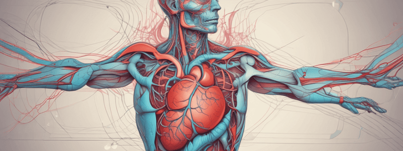 Heart Anatomy: Arteries and Veins