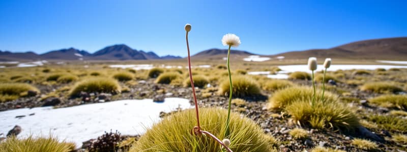 Tundra Plants Adaptations Quiz