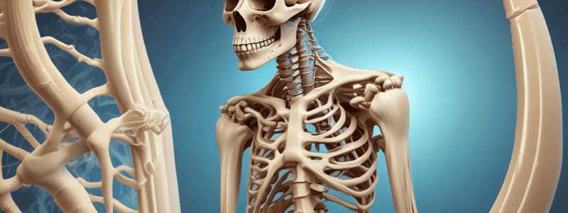 Bone Physiology: Calcium & Phosphate Metabolism