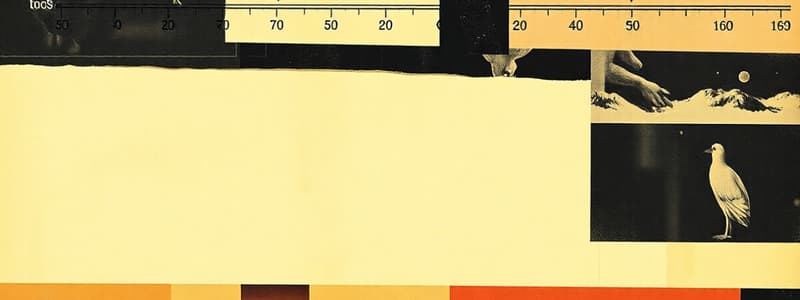 Measurement Frameworks in Psychology