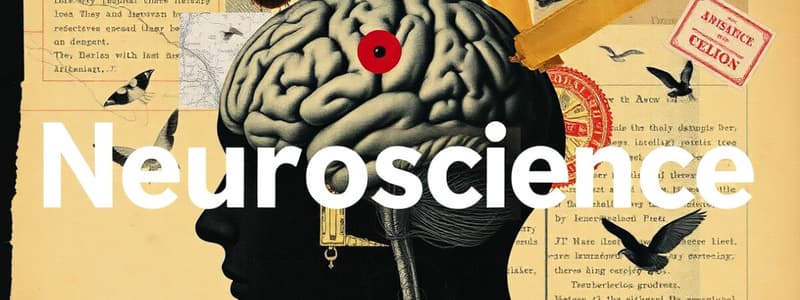 Neuroscience Basics Quiz