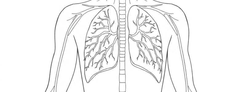 Fisiologia della respirazione (Fisiologia 50)