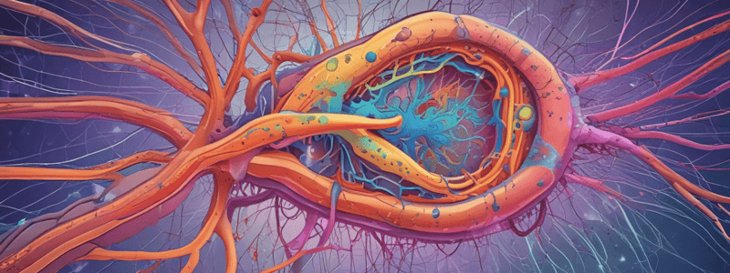 Y1S1 008 III Physiology: Resting Membrane Potential