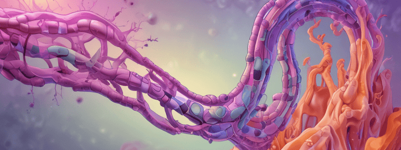 Pancreatic Function Tests for Medical Biochemistry II