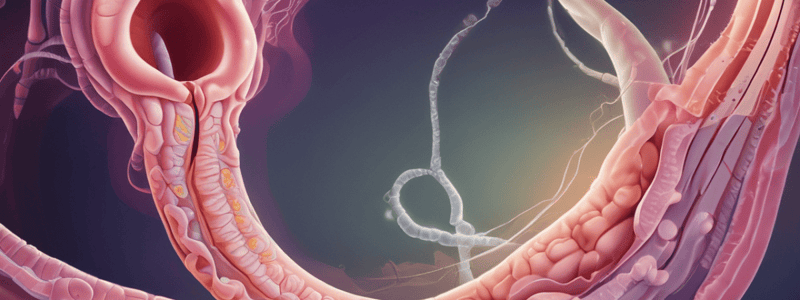 Tipos de Atresias Intestinales y Atresia del Duodeno