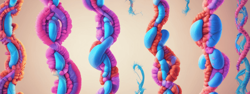 L11 Numerical Abnormalities of Chromosomes