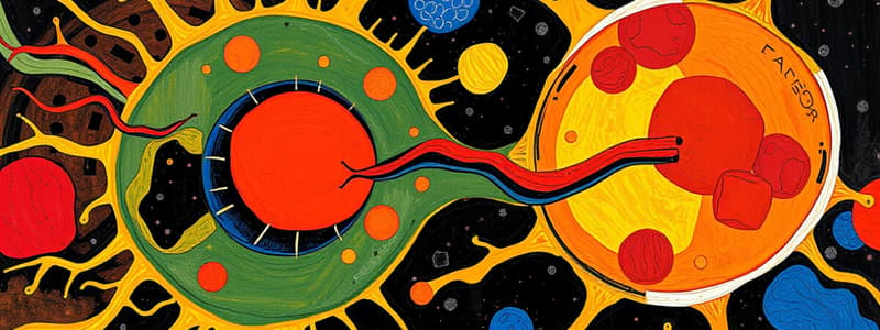 Exocytosis vs Endocytosis