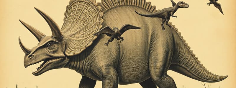 Triceratops: Physical Characteristics and Diet