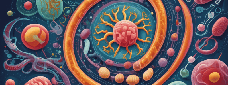 Multidrug-Resistant Organisms and MRSA