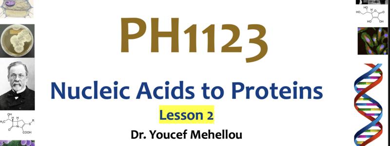 PH1123 UNIT 2, lesson 1 PART 2  nucliec acids to protiens