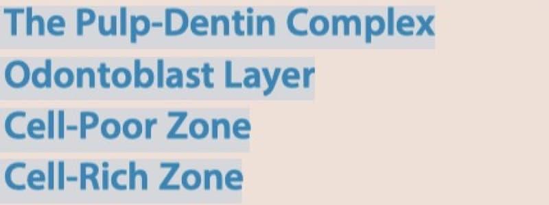 1. Morphologic Zones of the Pulp