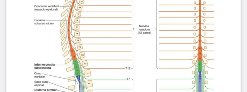 59. Quiz Cervicalgia II 135 a 143