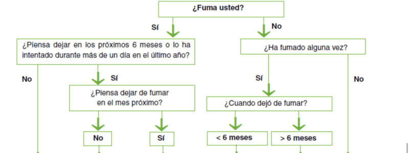 142. Quiz Tabaquismo I 295 a 310