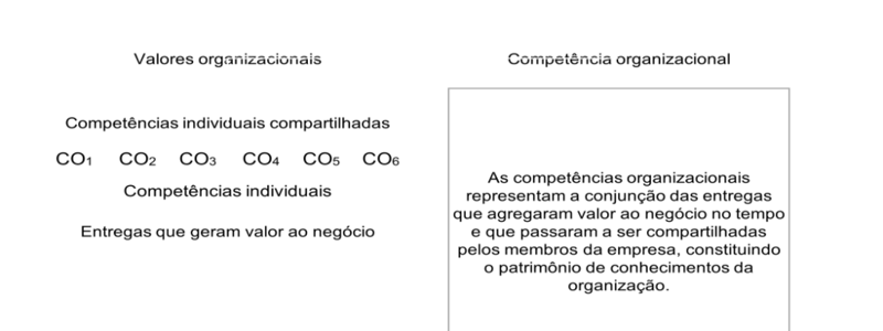 Competências Organizacionais e Individuais