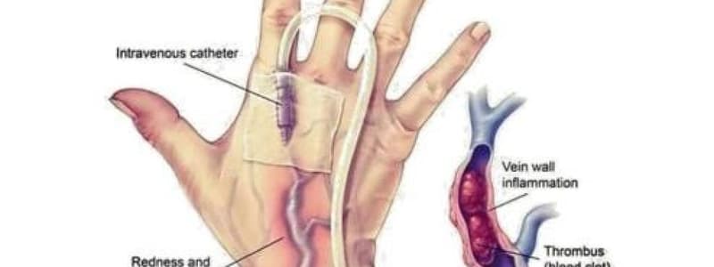 Prevención de las complicaciones del acceso vascular de inserción periférica: programa Flebitis