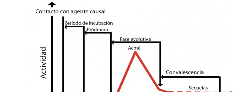 Preguntas y respuestas