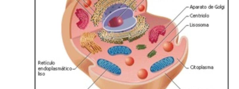 1. Quiz Biología a transporte en masa 27 a 40