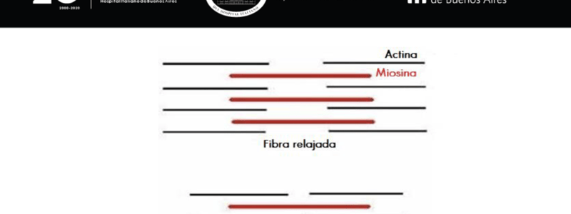 33. Quiz Prevención I 93 a 103