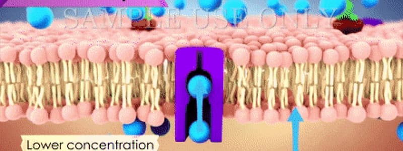 Biology Diffusion Process