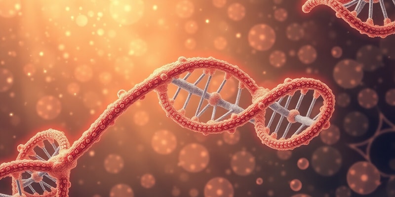 Réplication de l'ADN et PCR