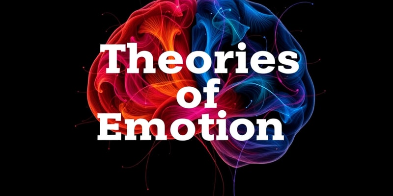 Emotions and Theories of Emotion