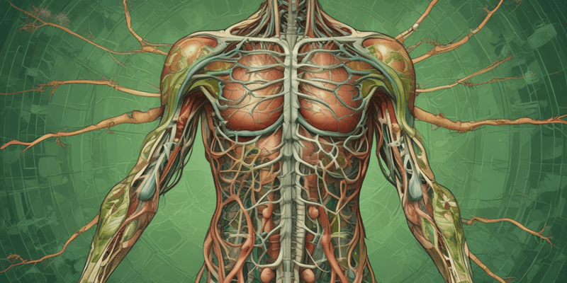 lymphatic and endocrine