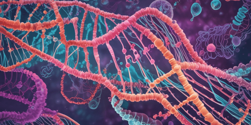 E. coli DNA Replication Origin