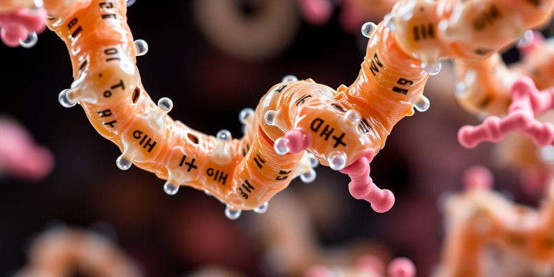 Enzyme Characteristics and Binding Sites