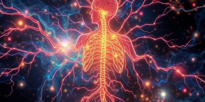 Pharmacology of the Autonomic Nervous System