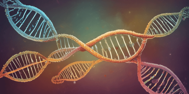 Mitochondrial DNA Overview