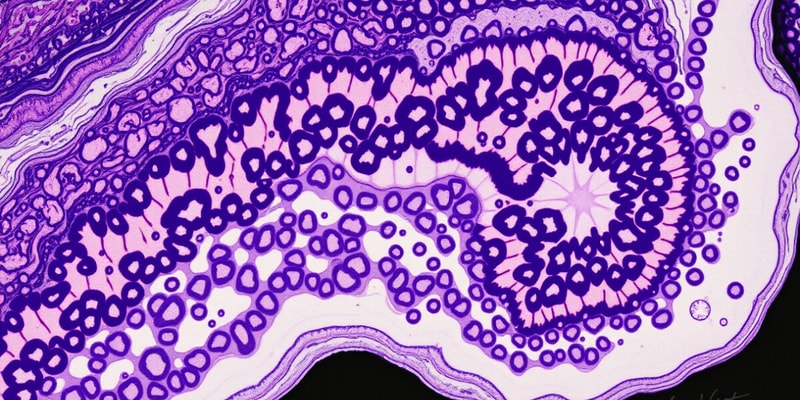 Histología, Embriología y Morfogénesis